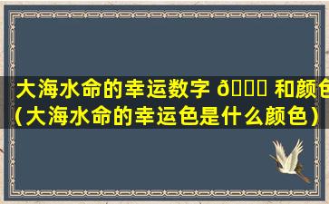 大海水命的幸运数字 💐 和颜色（大海水命的幸运色是什么颜色）